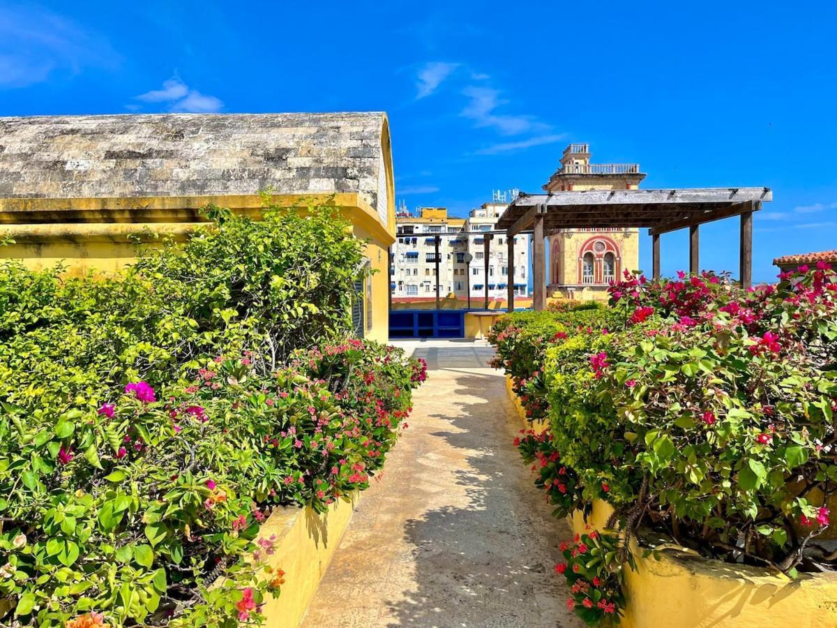 By Calamari Homes - El Porvenir 207 Walled *